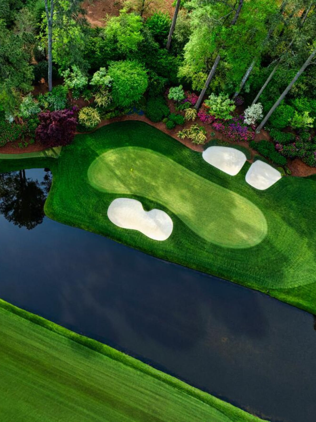 Aerial view of a manicured green ringed by water and white bunkers