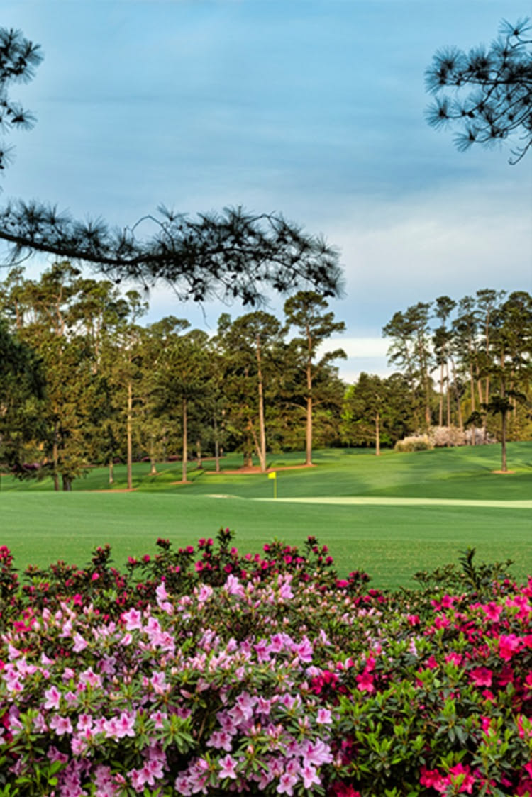 Azaleas in bloom framing the course under tall Georgia pines